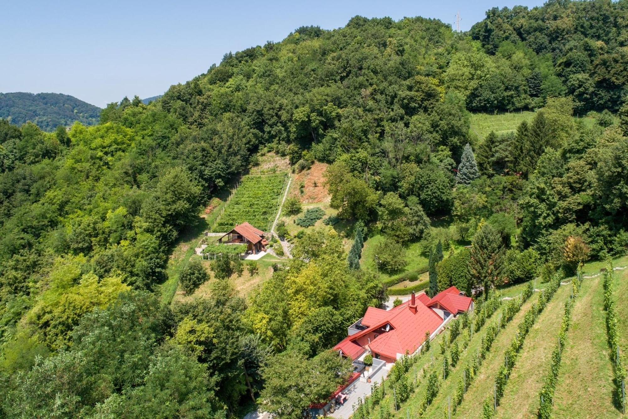 Villa Zagorska Bajka Krapina Exterior foto